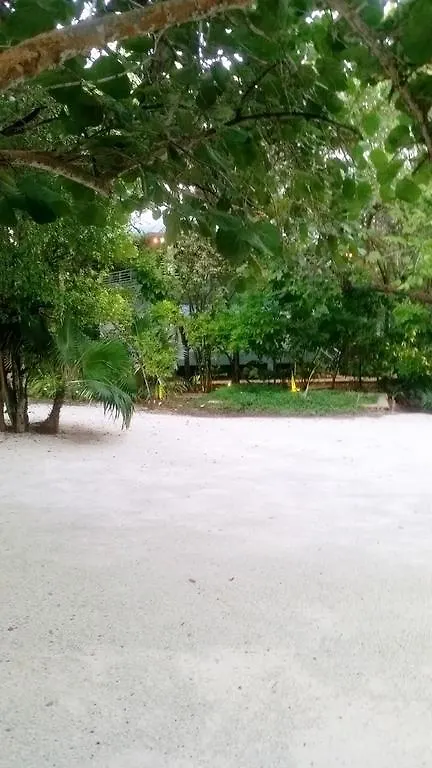 Hotel Idle Awhile Cliffs Negril Giamaica
